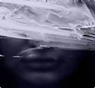 thumbnail1